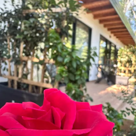 Hotel Frenki's Velipojë