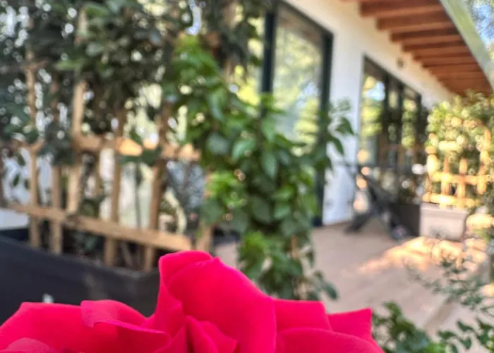 Hotel Frenki's Velipojë