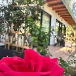 Hotel Frenki's Velipojë